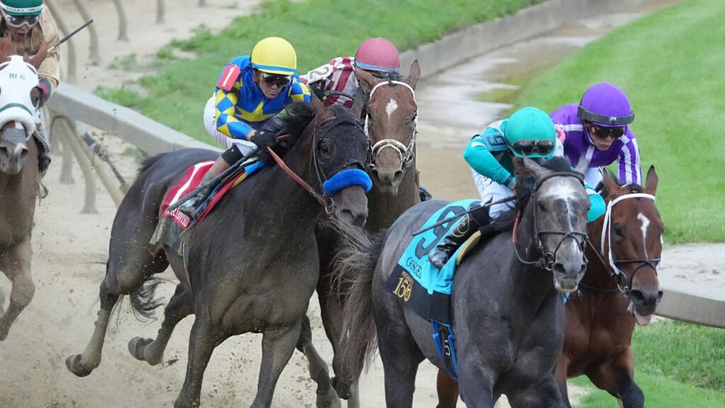 Find out the 2025 Preakness Stakes winner, final race results, prize money, and full payout details in our complete post-race summary
